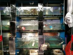 水产区-全乐鱼馆·淳牌有机鱼直营店