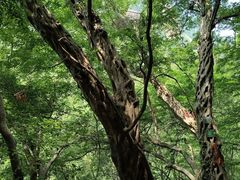 -辋川溶洞