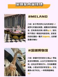 -meland亲子乐园(深圳领展中心城店)