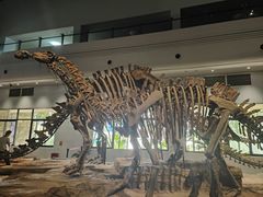 -自贡恐龙博物馆
