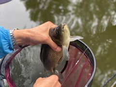 -酷鱼垂钓CLUB(朝阳区博大路店 )