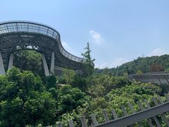 -梅峰山地公园