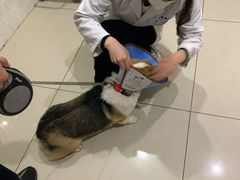 -瑞鹏瑞爱宠物医院·全科·猫科·血液透析中心(龙头寺店)