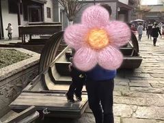 -龙潭水乡