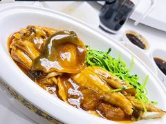 -鲐赏河豚(长寿店)