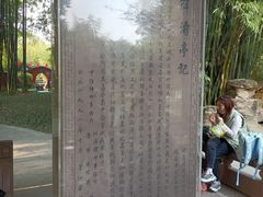 -望江楼公园