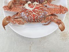 -锐记美食店·现捞海鲜(闸坡店)