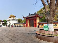 -上海东林寺(金山区)