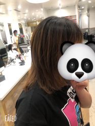-YESIDO椰岛造型