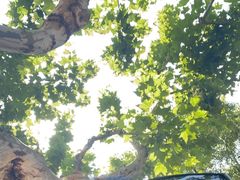 -裕和堂中医推拿艾灸(太古汇臻品店)