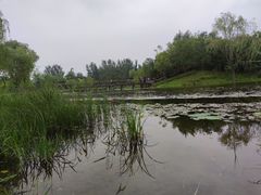 -东郊湿地公园