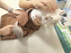 -瑞鹏·疫苗·绝育·宠物医院(金沙洲店)
