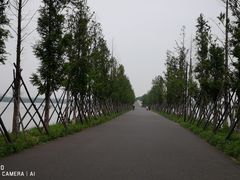 -东湖落雁景区