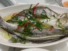 -日日香卤鹅饭店·澄海狮头鹅(澄海店)