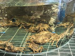 -前门烤鸭(江东中路店)