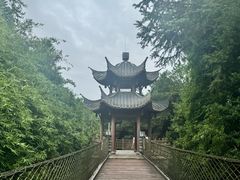 -铁山坪森林公园