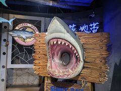 -大连圣亚海洋世界