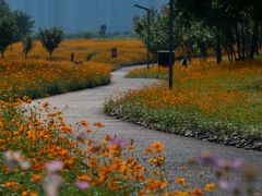 -洋湖国家湿地公园