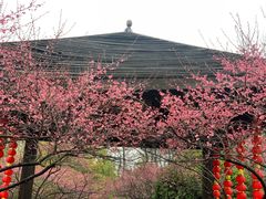 -凤凰沟景区