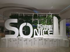 -国际青年会议酒店-苏莱斯餐厅