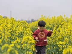 -三圣花乡旅游区
