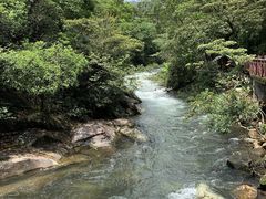 -广州市石门国家森林公园
