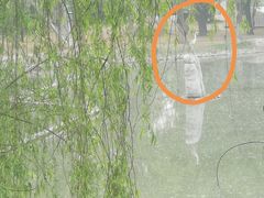 -蓝地时尚庄园(北京清河营地铁站店)