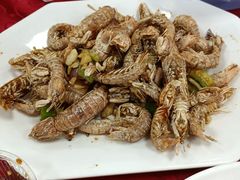 -中国第一滩