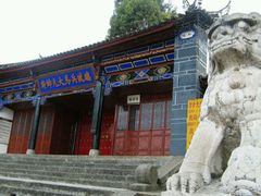 android_upload_pic-总统兵马大元帅府