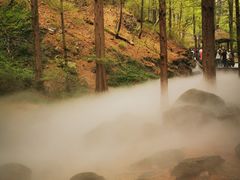 -国家植物园南园