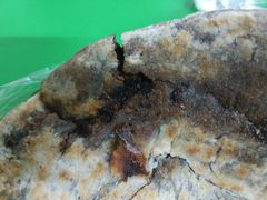 糖饼-大益烤鸡