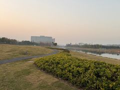 -春花秋色城市公园