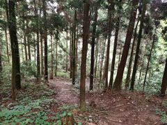 -天姥山