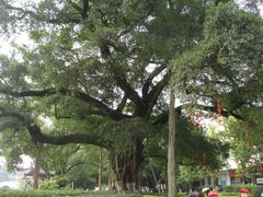 -桂林两江四湖景区