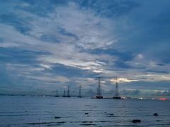 -宝安西湾红树林湿地公园