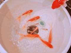 -董家湾重庆老火锅(嘉华店)