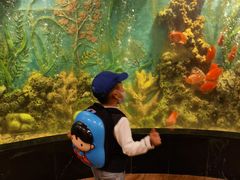 -红莲中餐厅(日航饭店)