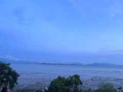 -深圳湾公园(南山区)