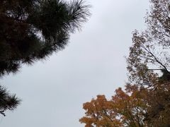 -北京西山国家森林公园