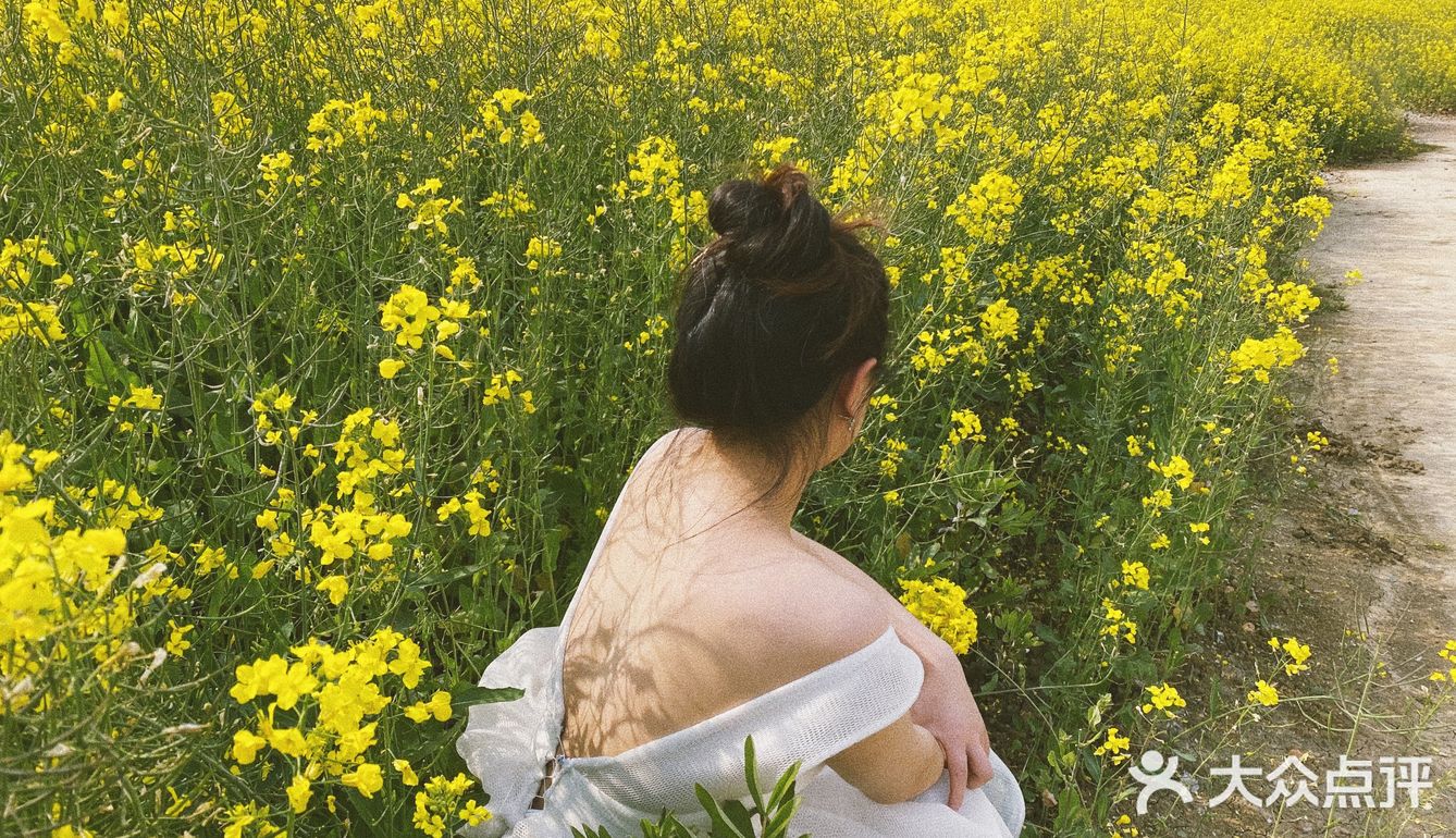 故事的小黄花