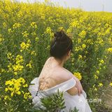 故事的小黄花