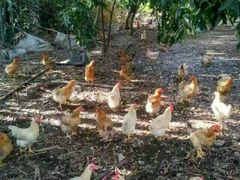 -邹记·美食(斗门店)