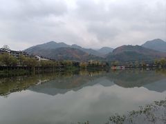 -后柳水乡