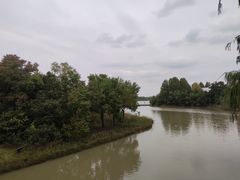 -上海海湾国家森林公园