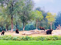 -北京野生动物园