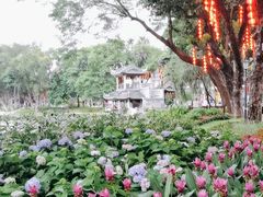 -荔湾湖公园
