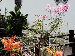 -欢姐伦教糕(北海大道北店)