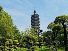 -西海子公园