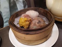 -新同乐鱼翅酒家(美丽华店)