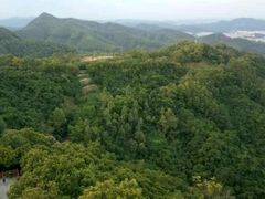 -大屏嶂森林公园
